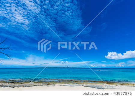 Beach of Okinawa Minnajima 43957876
