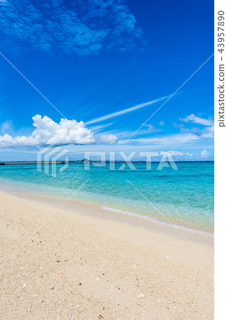 Beach of Okinawa Minnajima Beach of Okinawa Minnajima 43957890