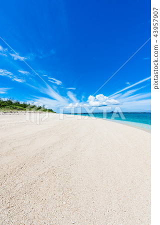 Beach of Okinawa Minnajima 43957907