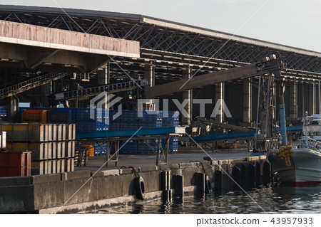 Numazu Harbor Numazu Harbor 43957933