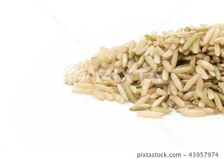 加利福尼亞布朗巴斯馬蒂米：加州棕色巴斯馬蒂 43957974