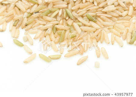 California Brown Basmati Rice: California brown Basmati California Brown Basmati Rice: California brown Basmati 43957977
