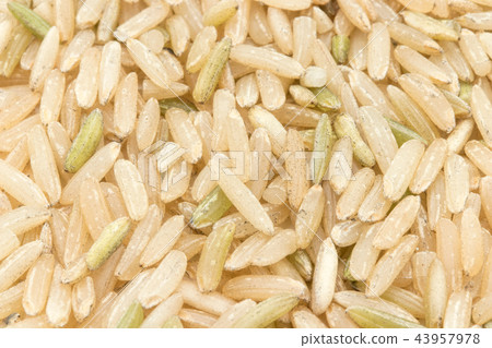 California Brown Basmati Rice: California brown Basmati 43957978