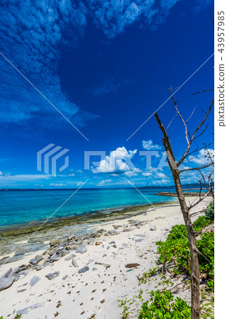 The sea of Okinawa Minnajima 43957985