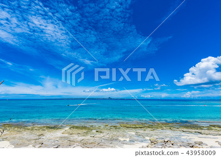 The sea of Okinawa Minnajima 43958009