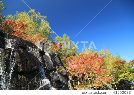 Autumn leaves landscape Autumn leaves landscape 43960028