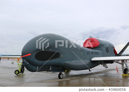 Global Hawk Global Hawk 43960056