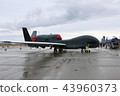 Global Hawk 43960373