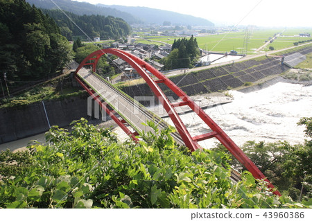 7月在富山縣黑部市黑部河上的愛本橋 43960386
