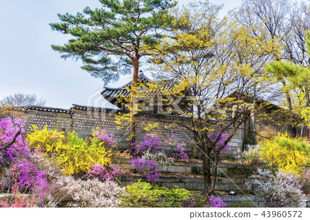 Byeonjeong,昌德宮(歷史遺址122),首爾鐘路區 Byeonjeong,昌德宮(歷史遺址122),首爾鐘路區 43960572