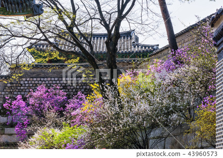 Byeonjeong,昌德宮(歷史遺址122),首爾鐘路區 Byeonjeong,昌德宮(歷史遺址122),首爾鐘路區 43960573