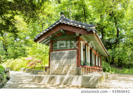 昌德宮 昌德宮 43960642