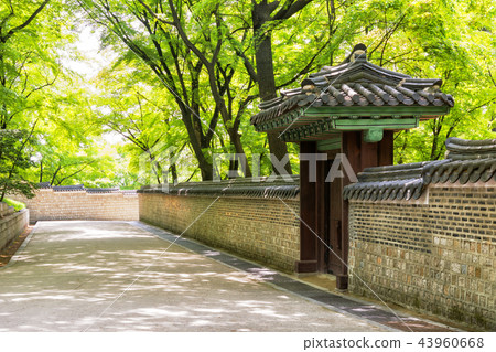 昌德宮 昌德宮 43960668