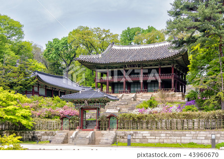 昌德宮 昌德宮 43960670