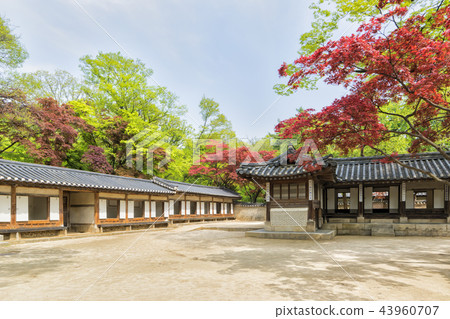 Yonggyeong 43960707