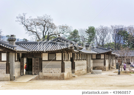 原料 原料 43960857