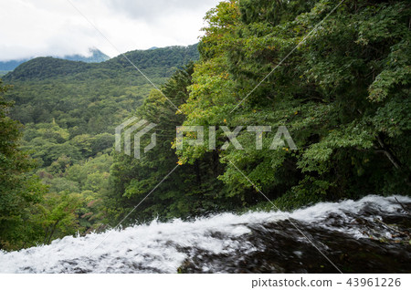 Yutaki Upper Tochigi Prefecture日光市 43961226