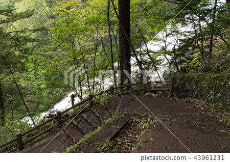 從山路Yutaki櫪木縣日光市的看法 43961231