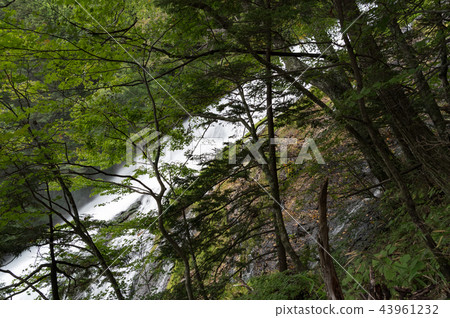 View from a mountain trail Yutaki Tochigi Prefecture Nikko City 43961232