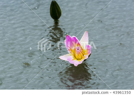 訓練 訓練 43961350