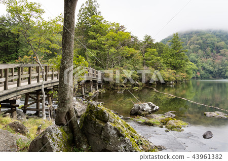 Lake Yuno Lake Tochigi Nikko City 43961382