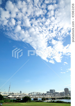Keisei Skyliner Across the Clouds, Sky Tree and Iron Bridge Keisei Skyliner Across the Clouds, Sky Tree and Iron Bridge 43961856