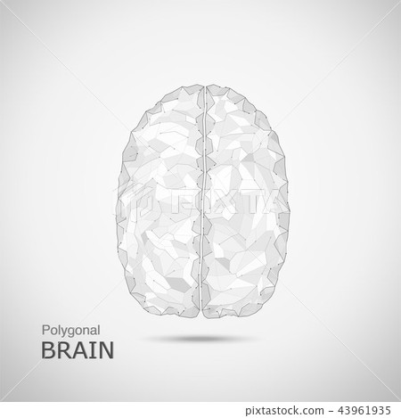 polygonal brain with connection line polygonal brain with connection line 43961935