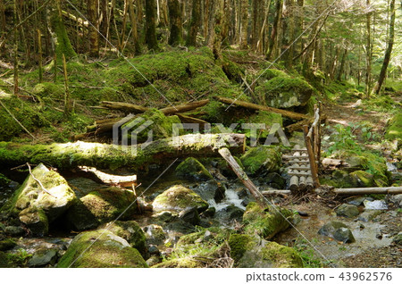 Southern Alps Irisuyama Teizawa 43962576