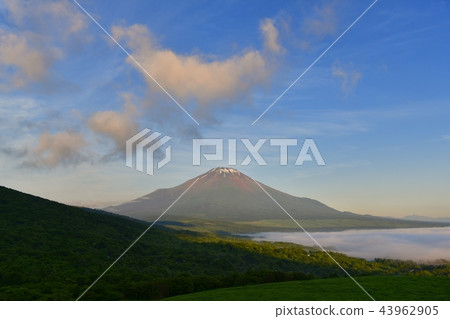 Sea of clouds over red Fuji and sunrise clouds Sea of clouds over red Fuji and sunrise clouds 43962905