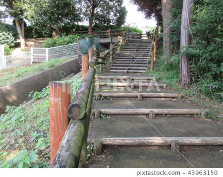 樓梯 43963150