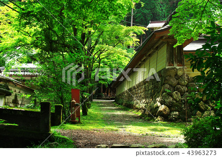 Kageuji Temple: Gifu 43963273