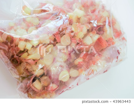 Frozen myoga with bag, white background, frozen vegetables Frozen myoga with bag, white background, frozen vegetables 43963443