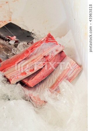 金槍魚拆解秀 sdgs 糧食損失 糧食危機 阿久根市 鹿兒島縣 43963818