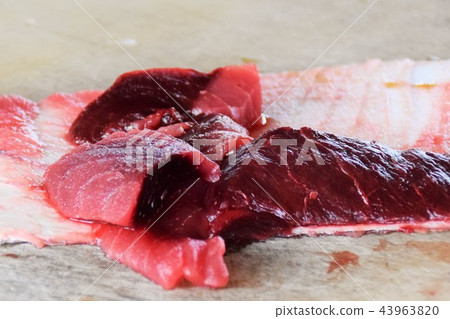 金槍魚拆解秀 sdgs 糧食損失 糧食危機 阿久根市 鹿兒島縣 43963820