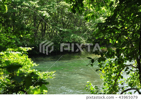 Chitose River Chitose City Chitose River Chitose City 43965079