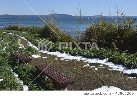 雪域海岸 43965209