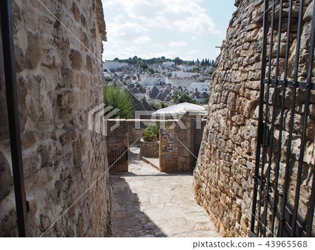 阿爾貝羅貝洛的景觀 43965568