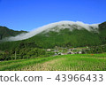 風推廣 43966433