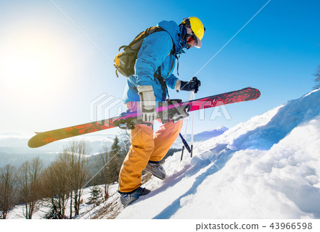 Male skier walking up the snowy hill in the Carpathians mountains carrying his skis Male skier walking up the snowy hill in the Carpathians mountains carrying his skis 43966598