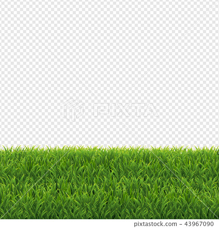 grass transparent png