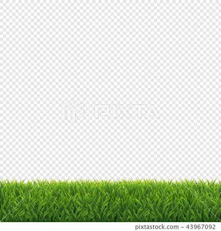 Green Grass Frame Transparent Background 43967092