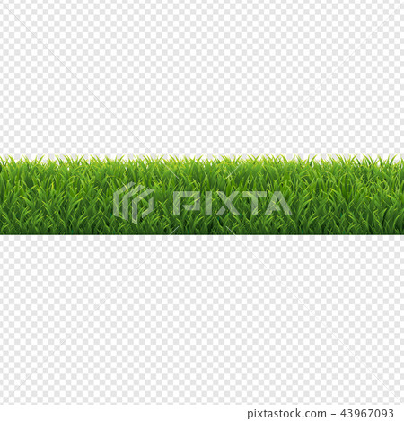 Green Grass Border Transparent Background 43967093