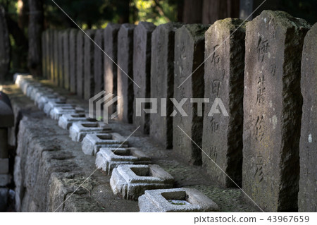 Iimoriyama Iimoriyama 43967659