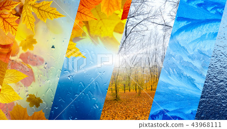 Fall and winter, weather forecast concept Fall and winter, weather forecast concept 43968111