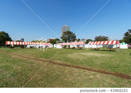 Inhabitant of a ward Festival preparations 43968281