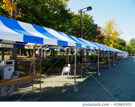 Inhabitant of a ward Festival preparations 43968305