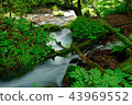 Japan's Clear Current-Sakuinzawa 43969552
