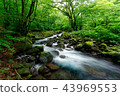 Japan's Clear Current-Sakuinzawa 43969553