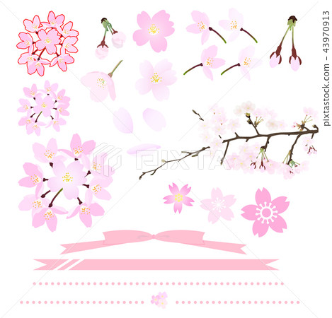 Cherry blossom illustration set 43970913