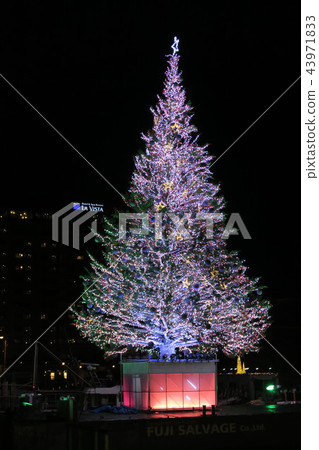 聖誕樹 43971833